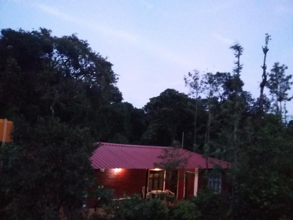 Athena Homestay Somvārpet Exterior foto
